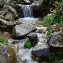 산골강남 이미지