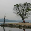 두물머리민박 이미지