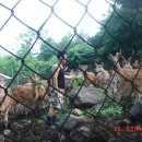 신천농장 이미지