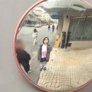 재경2호 | [여행] 이 도시 냄새부터 심상치않다, 4박 5일 소화제필수 상해 여행기🇨🇳 (2일차)