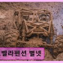 노벨라 별넷 네이버블로그