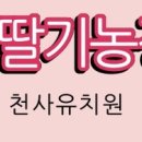 검은들농장 이미지