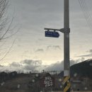 퍼즈 인 윌로우 이미지