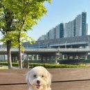 바로슬동물병원 이미지