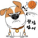 더 편하개 이미지