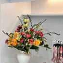 건강혜움 | [공지] [청담/삼성동] 필라테스 추천, 초등학생부터 70대까지 만족하는 혜움필라테스 리얼 후기