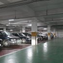 무궁화건영 이미지