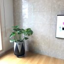 경산꽃집 이미지