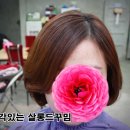 살롱드꾸밈