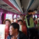 솔밭가는길 이미지