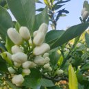 준이농장 이미지