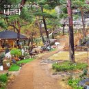 도봉산 대형카페 의정부 나크타 카페셔틀 애견 주차 망월사역 조용한 카페