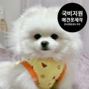 남부미싱 이미지