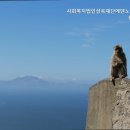 에덴노인전문요양원