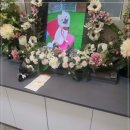 리멤버반려동물장례식장