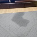 리본동물의료센터 | [리본동물의료센터/수술 후기] 슬개골+십자인대파열+췌장염