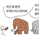 맘모스 이미지