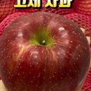 거창-고제-5 이미지