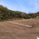 미담태양광발전소 이미지