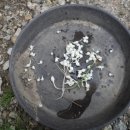 이종근 농장 이미지