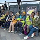서귀포예술단 | 서귀포에 홀딱 반하다! 화려한 불꽃의 향연 '금토금토새연쇼' 개막식 후기