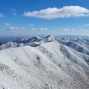 1월 31일 (토) 민주지산 눈꽃산행❄️ 안내 및 예약 이미지