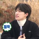 큐브세븐틴 이미지