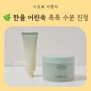 지현개발 | 한율 어린쑥 수분 진정 패드 및 핸드크림 아모레 지현씨 사용 꿀팁 후기