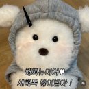 (주)템템 이미지