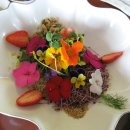 이도랜드 이미지