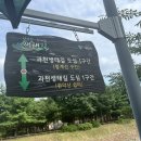 과천5단지아파트노동조합 | [임장기] 경기도의 그사세 과천 임장기 (2) 과천주공 4단지 5단지