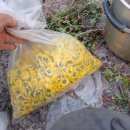 기봉농장 이미지