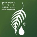 씨니드 네이버블로그