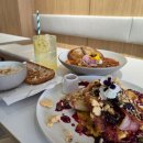 베니 - 서구 둔산중로 19 | 광안리 맛집 브런치 페이머스 베니 후기, 주차 꿀팁까지