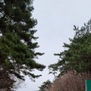 대치마을회관 이미지