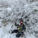 한라푸드 이미지