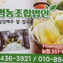 광신상회 이미지