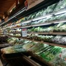 부동산마트공인중개사사무소 이미지