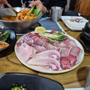 세우고횟집 | 대전 형제횟집 방어회 저녁 웨이팅 피해서 점심 방문한 중리동 로컬 횟집 후기