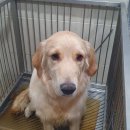 청림동물병원 이미지