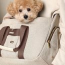 덕지천로 이미지