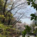 극동아파트(101동앞) 이미지