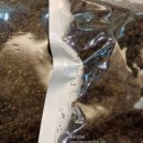 심원마트 이미지