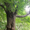 우면생태놀이터 이미지