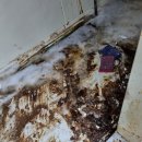 남동홈마트 이미지