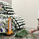 송내리 Daum카페