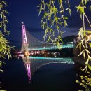 홍북 어죽 이미지