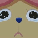 옥미아구찜 이미지