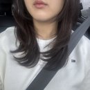 미래머리방
