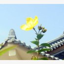 난계국악박물관 이미지